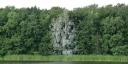 von Kormoranen beschissener Baum am Templiner-See